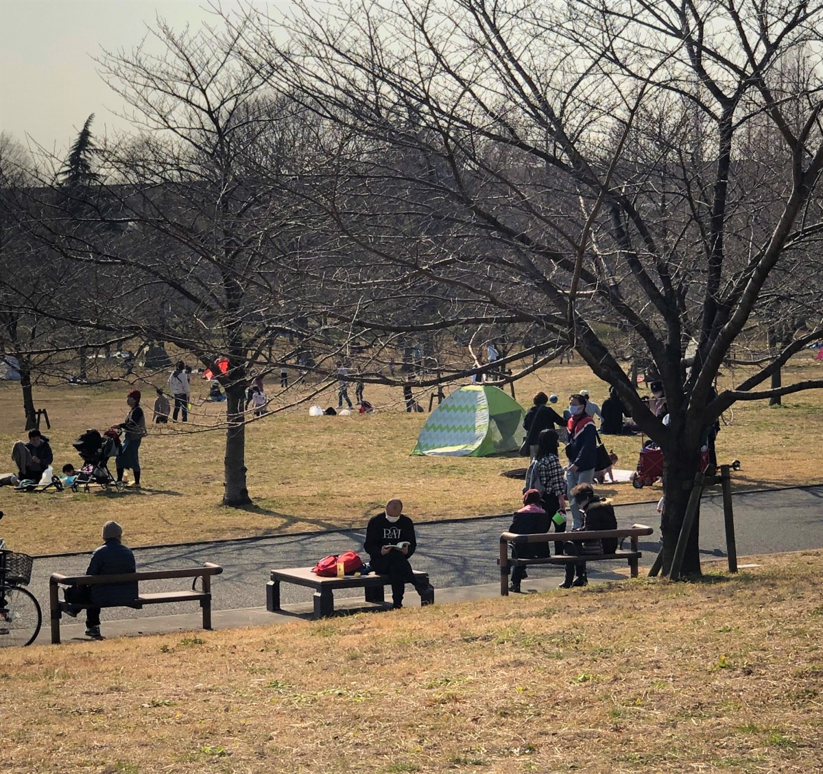 Post Ti陽気に誘われ大勢の家族連れなどが訪れる 舎人公園 竹ノ塚 舎人地区 株式会社足立読売tle 株式会社足立読売