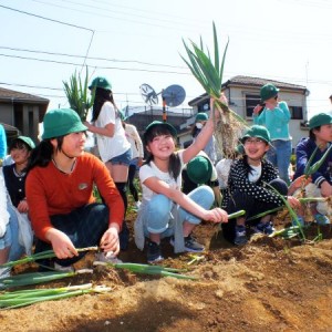 足立 区 コロナ 小学校